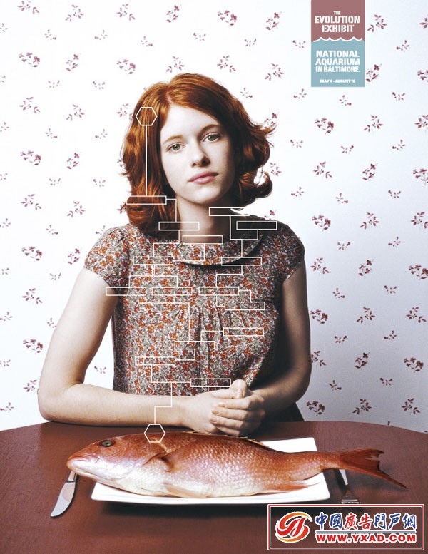 National Aquarium��������ƪƽ�������