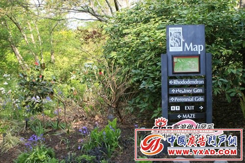 ���ͼƬ������һҳ