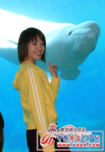 ���ͼƬ������һҳ